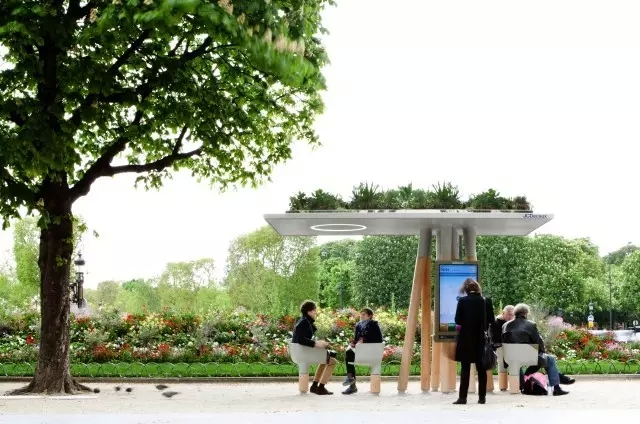 ����վ�_(t��i)