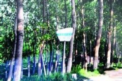  �Ĺ���վ�_(t��i)����������w�Ҹ�׃�w 